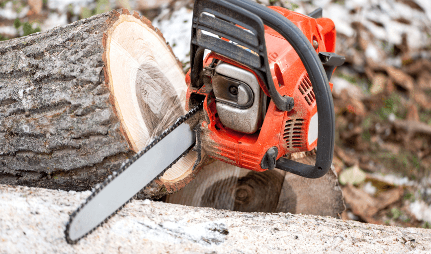 Tree Removal